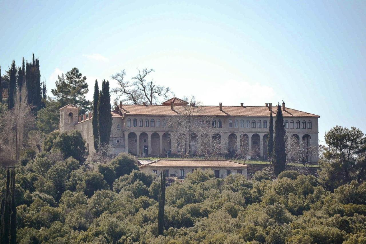 Traditional Luxury Villa Armonia Эйон Экстерьер фото